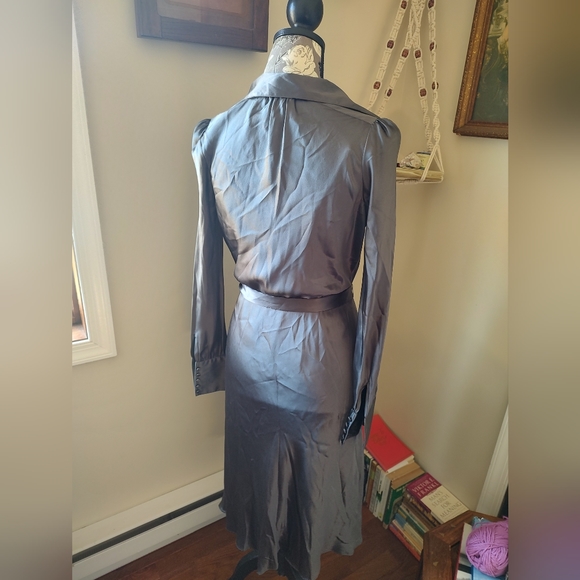Silver Dress - Picture 2 of 5